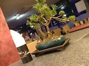 De Loire Et Restaurant Les Bateliers Отель Trelaze